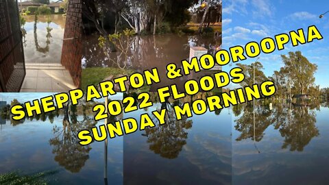 Shepparton & Mooroopna Floods Sunday Morning 16-10-2022 (Videos from ppl waking up Sunday Morning)