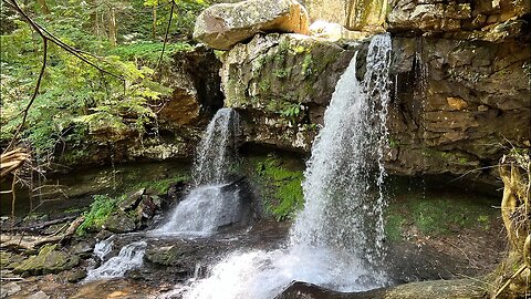 Cloudland Canyon State Park