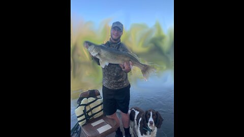 BIG Mississippi River Walleye