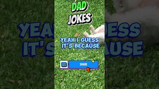 Funny Dad Jokes USA Edition # 464 #lol #funny #funnyvideo #jokes #joke #humor #usa #fun #comedy