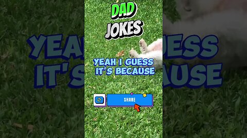 Funny Dad Jokes USA Edition # 464 #lol #funny #funnyvideo #jokes #joke #humor #usa #fun #comedy