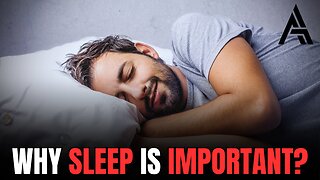 Why Less Sleep Cannot Make You More Productive
