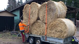 Straw & Silage from our neighbours.