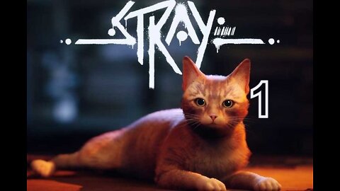 I'm a Cat | Stray - 1