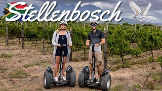 WHAT A DAY In Wine Country / Things to do in Stellenbosch South Africa