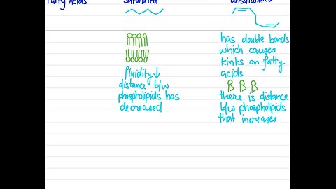 Role of phospholipids, cholesterol and fatty acids in cell membrane