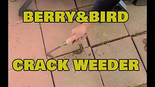 Works great, all kinds of uses for this Berry&Bird Crack Weeder