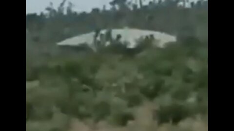 UFO in Venezuela Forest