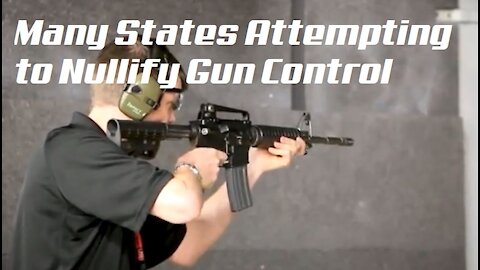 Several States Attempting to Nullify Gun Control