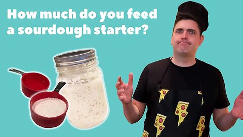 How much do you feed a sourdough starter? (Wild Sourdough)