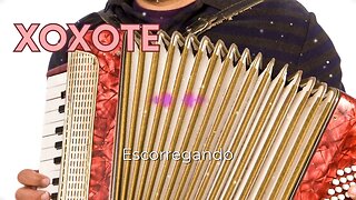 Xoxote - Escorregando