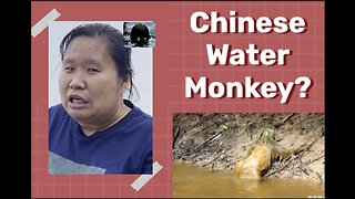 Ever hear of a Chinese water monkey?