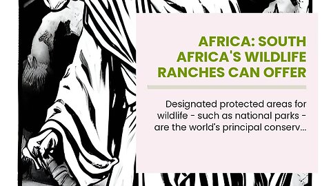 Africa: South Africa's Wildlife Ranches Can Offer Solutions to Africa's Growing Conservation Ch...