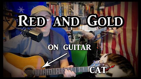 Fairport Convention's Red and Gold on Guitar (with my cat)