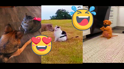 ANIMALS GONE WILD! The Funniest Pet Fails and Funny Moments Ever!