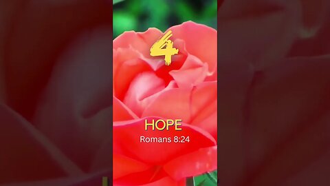 Day 4 HOPE : 12 Days of Celebration 🌹🕊