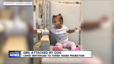 Buffalo woman who pled guilty over dog attack on toddler sentenced to three years probation