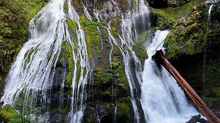 SILENT PERSPECTIVES (4K) of EPIC Panther Creek Falls! | Gifford Pinchot National Forest | Washington