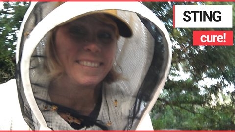 Woman cured bee allergy through venom injections, now beekeeper who gets stung FOUR TIMES a week.