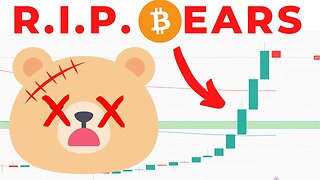 BEAR Fan Boys Got Destroyed - Crypto Market Update