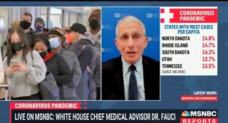 Fauci on Dem Governors Lifting Mask Mandates: ‘I Wouldn’t Say It’s the Politics’