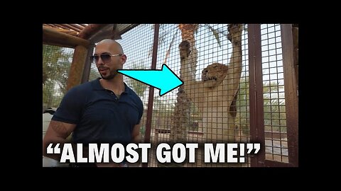 Tate ATTACKED By Lion In MOST EXPENSIVE 🇦🇪Dubai Zoo