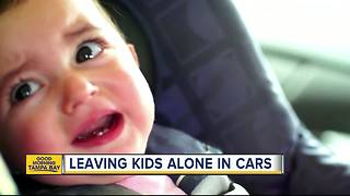 Florida bill would make it illegal to leave a young child alone in a car for any amount of time