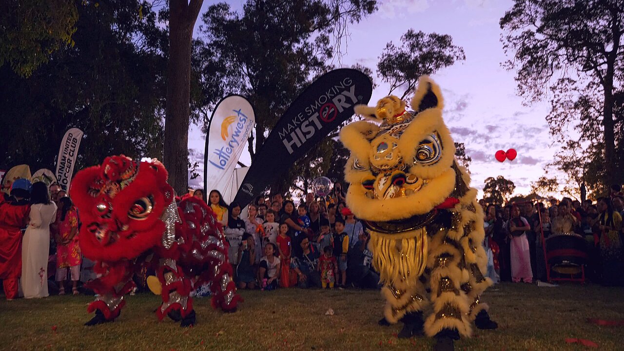 Lion Dance Drumming Firecrackers Vietnamese Tet New Year Hội Chợ Tết ...