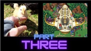 Chrono Trigger Chickens: Part III New Chicken Coop I Vermont Baby Chickens! Chrono Trigger Soundtrack