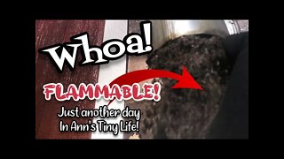 Another Day in Ann's Tiny Life | Whoa! - Ann's Tiny Life