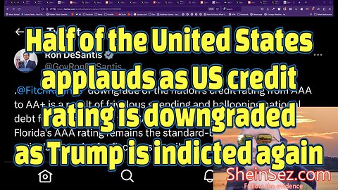Half of the US applauds as US credit rating is downgraded-SheinSez 250