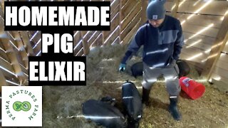 How We Keep Our Pigs Healthy