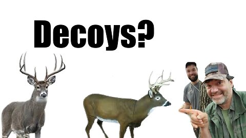 Do Decoys Work for Big Bucks?