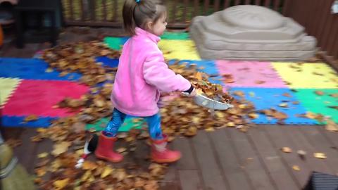 A Tot Girl Fails At Sweeping Leaves Off A Porch