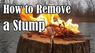 Remove a Stump