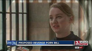 Revenge Porn Bill
