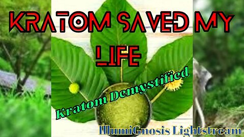 Kratom Saved My Life…Twice: Benefits, Risks, Chemistry, and Slave Labor Awareness