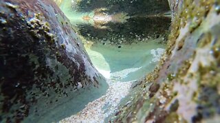 Submarine POV