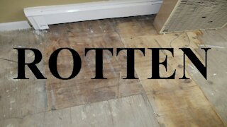 Tearing out Rotten Floor, Shades, and Cove base Trim molding. Enjoy my torture. Unit 14 Part 12