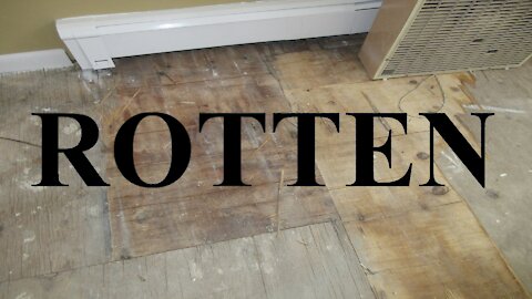 Tearing out Rotten Floor, Shades, and Cove base Trim molding. Enjoy my torture. Unit 14 Part 12