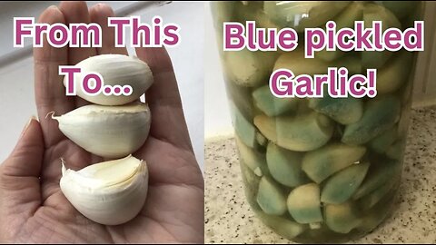 The fascinating world of blue pickled garlic and is it ruined?