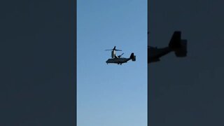 Military Osprey Landing Runway 14 At KSFM