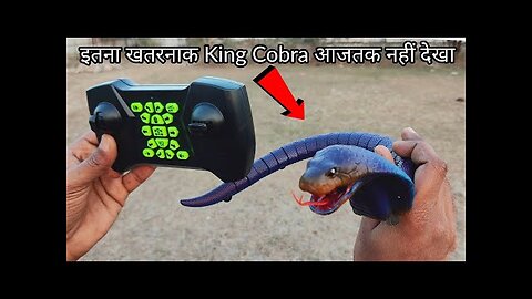 Remote Control King Cobra Snake Unboxing & Testing - Chatpat toy tv
