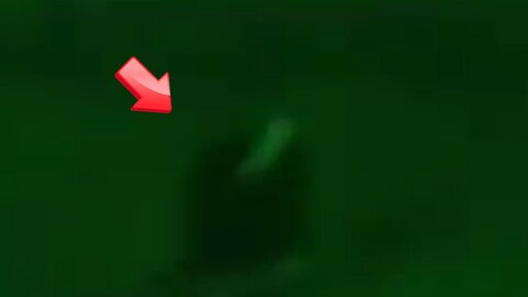 Small humanoid moves on its own! is it an alien or a ghost? [Conspiracy]