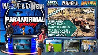 What Are The Mysterious History of Cattle Mutilation? On The Paranormal Highway Show