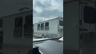 Horses going for a ride