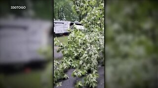 Large branch falls on camper of adventure vloggers at Ravenna park during severe weather