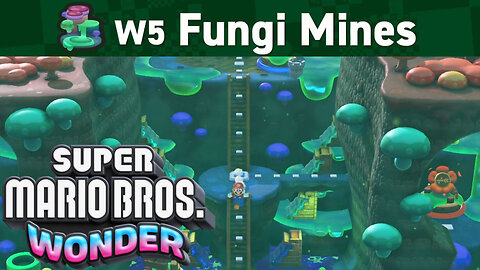 Timestamped QUICK EASY World 5 Secret Exits Coins and Wonder Flowers Mario Fungi Mines guide