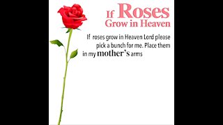 If Roses Grow In Heaven [GMG Originals]