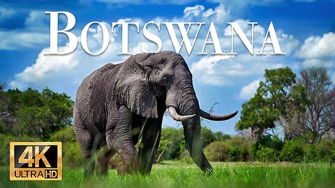 дикая природа животные ботсвана 4k - Замечательный фильм о дикой природе с успокаивающей музыкой